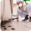 General Pest Control-Area Wise General Pest Control-Area Wise