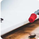 General Pest Control-Cockroach & Common Pests General Pest Control-Cockroach & Common Pests