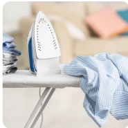 Bag - Wash & Iron Bag - Wash & Iron