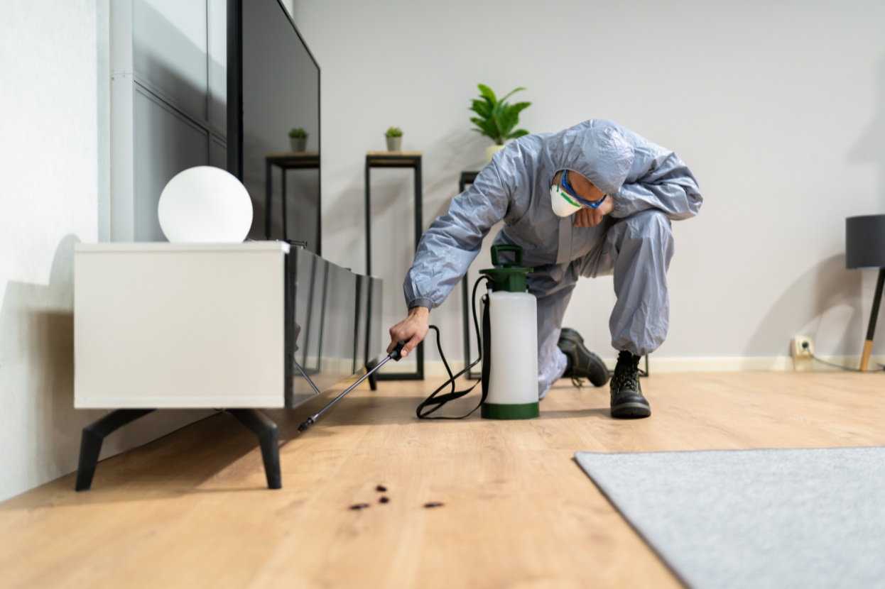 Pest Control Treatment