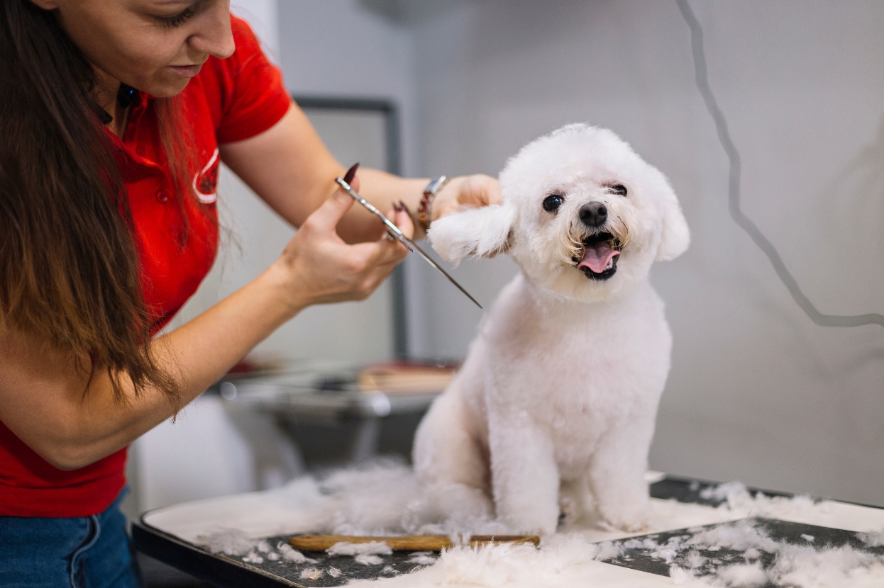 Pet Grooming